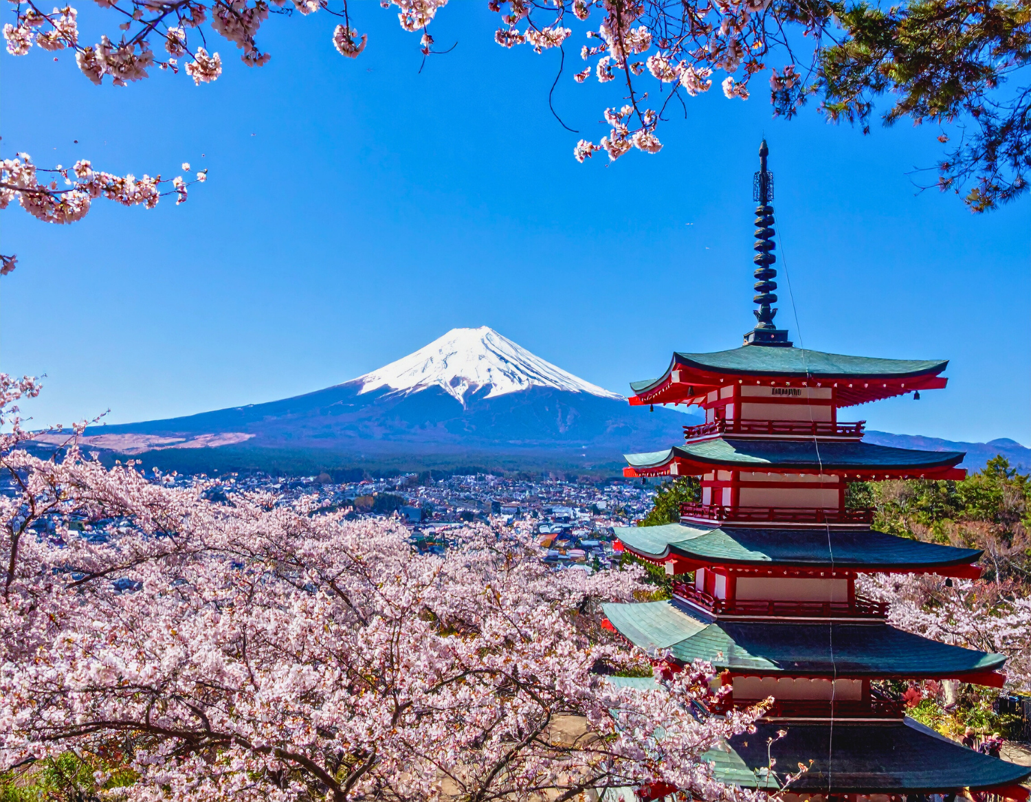 Arakurayama Sengen Park