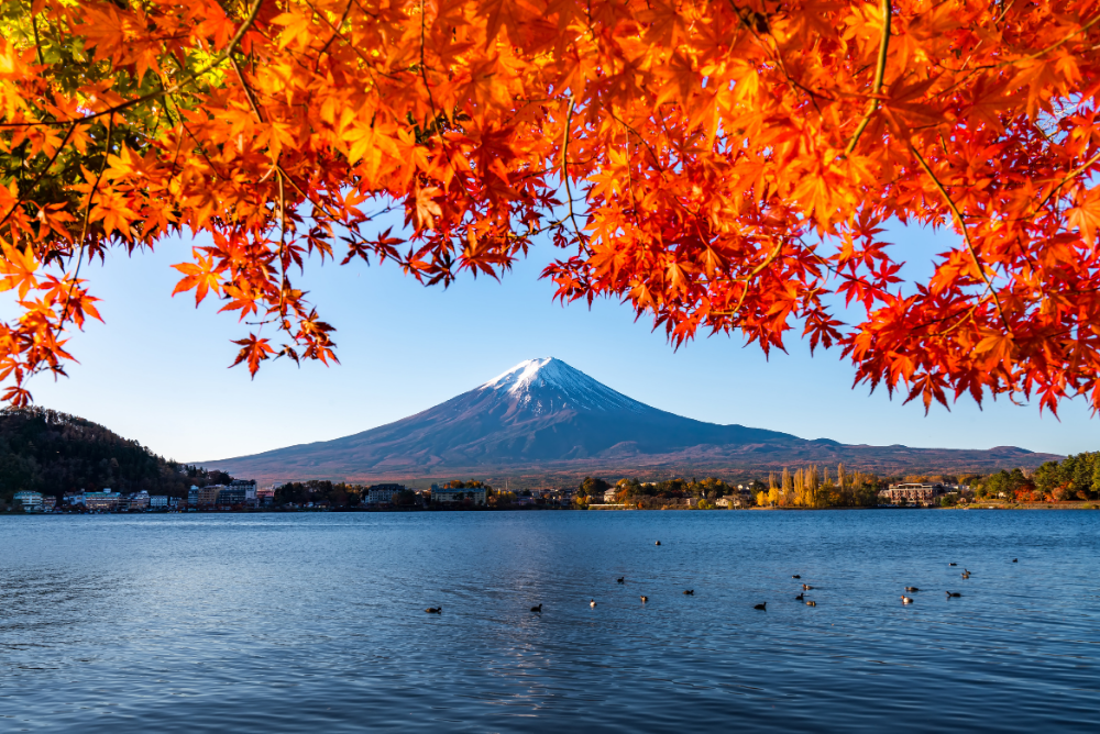 Beautiful Lake Kawaguchiko